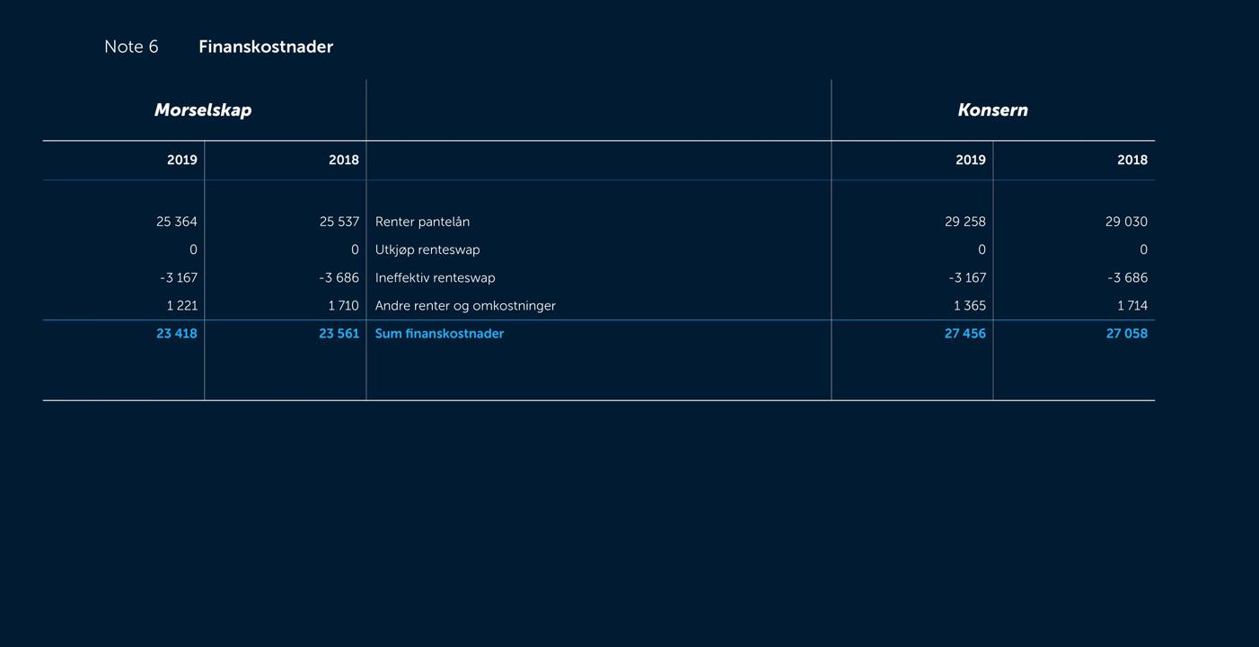 Skjermbilde av noter fra årsregnskapet 2019