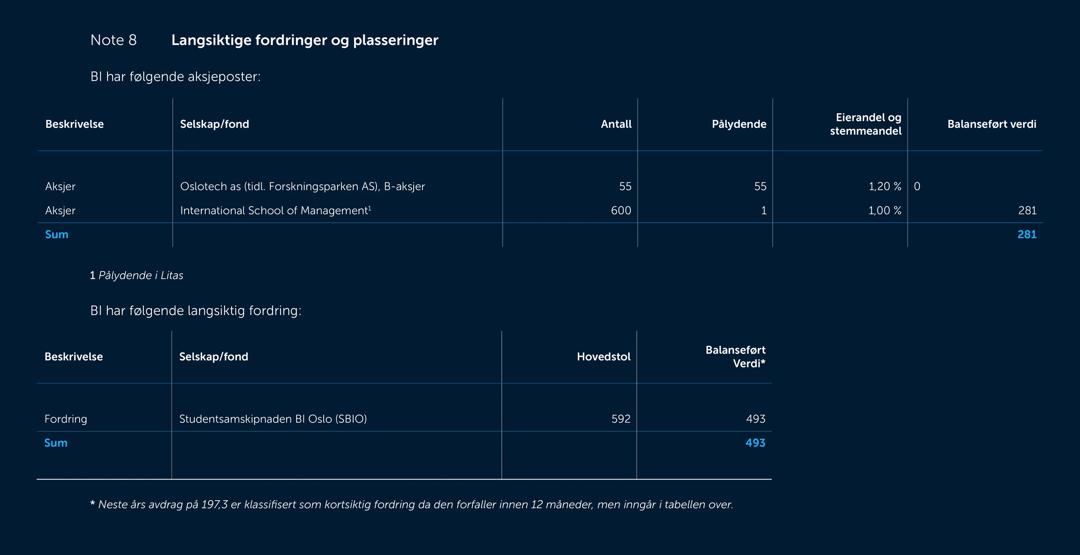 Skjermbilde av noter fra årsregnskapet 2019