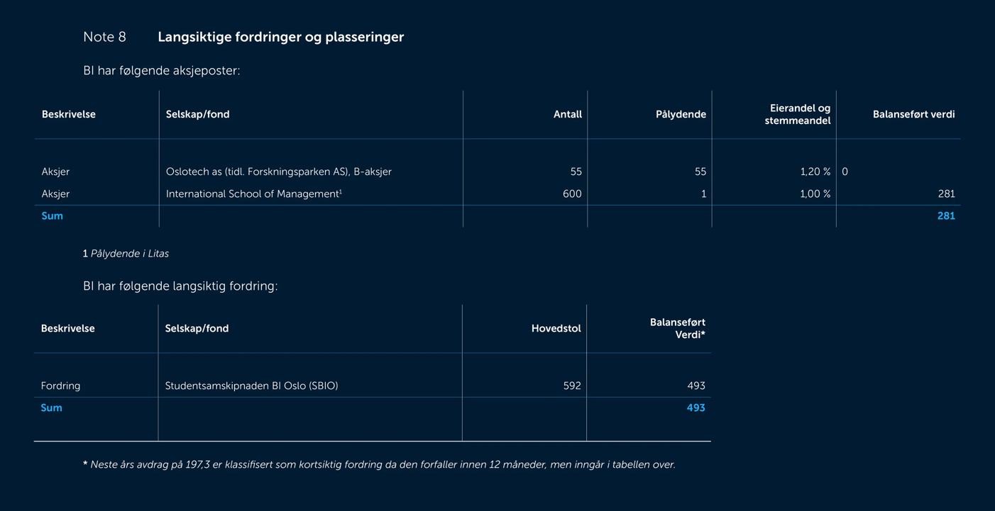 Skjermbilde av noter fra årsregnskapet 2019