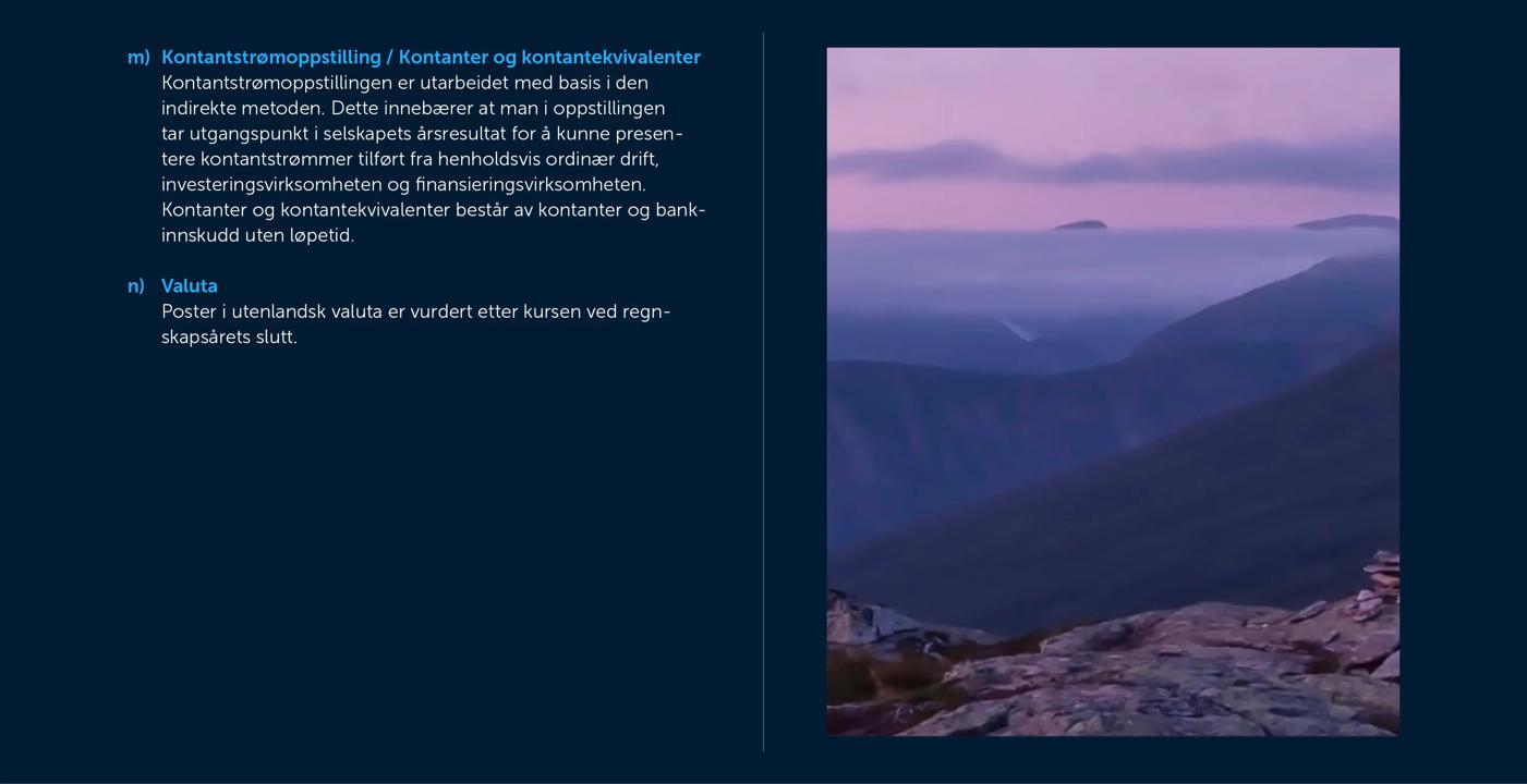 Skjermbilde av noter fra årsregnskapet 2019