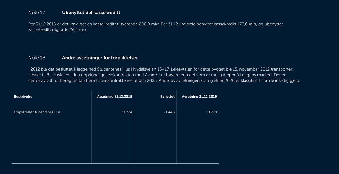 Skjermbilde av noter fra årsregnskapet 2019